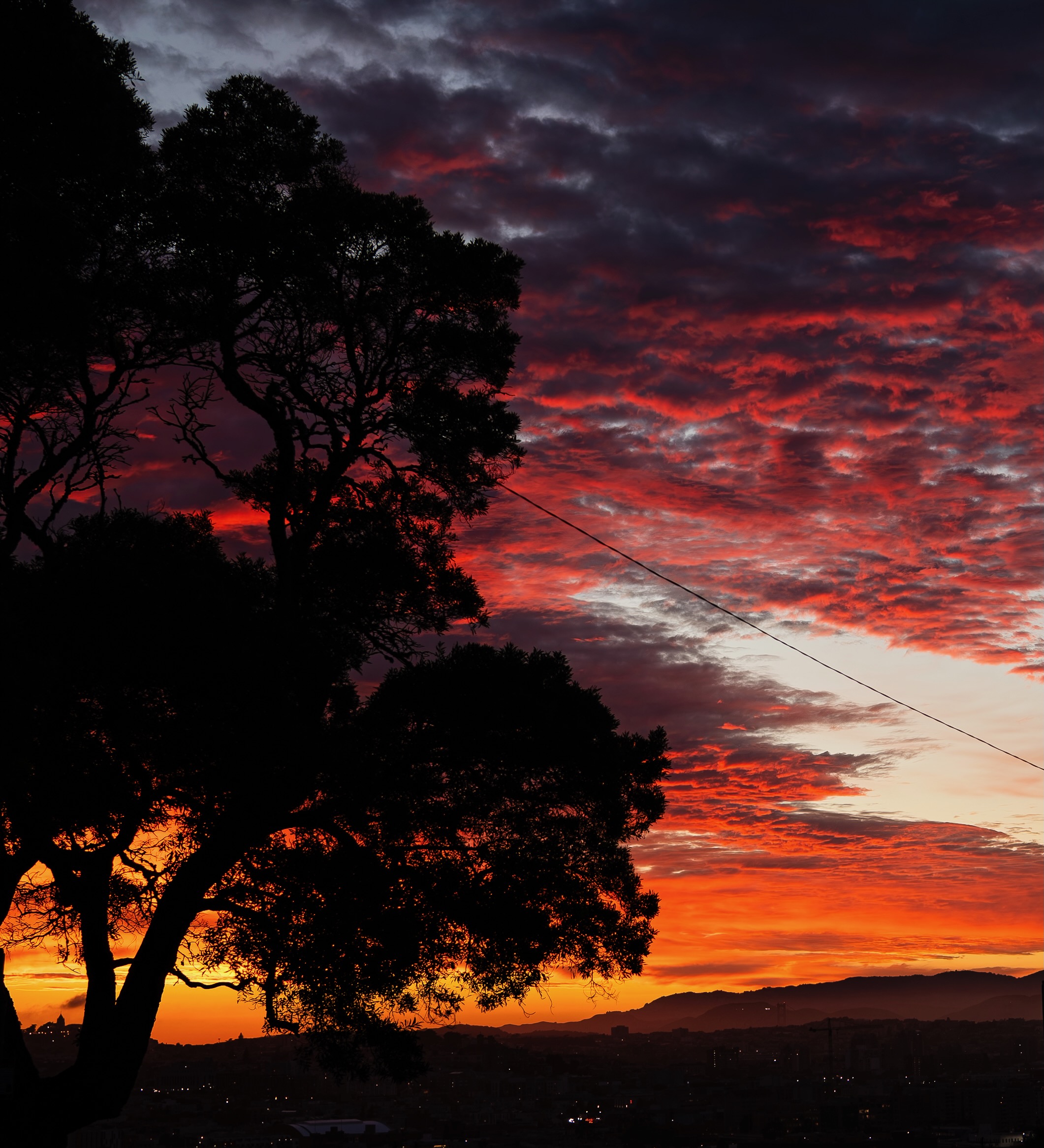 A tree silhouetted against red and orange clouds at sunset